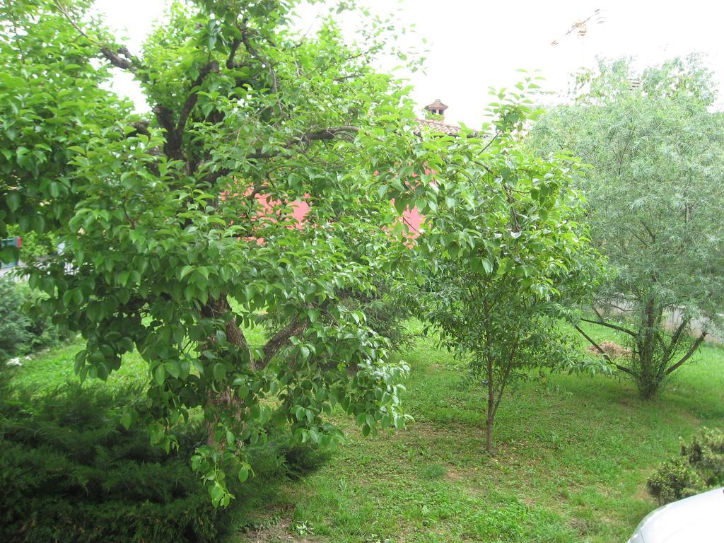 Casa Bruno B&B Mondovì Dış mekan fotoğraf